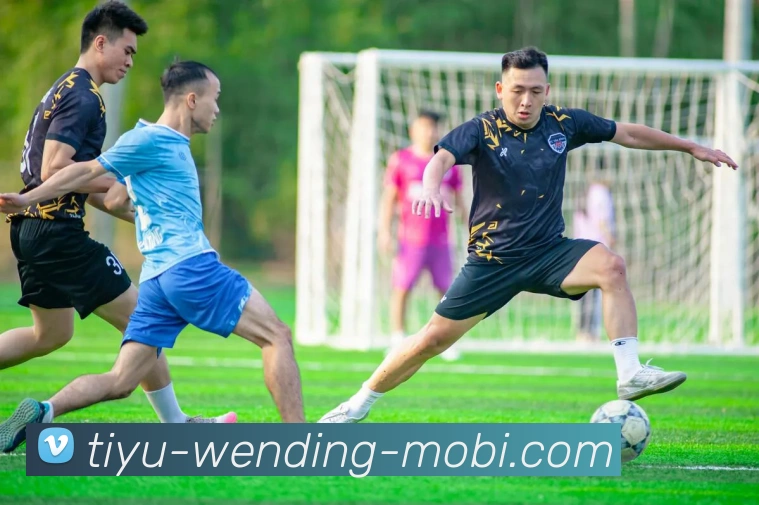 问鼎娱乐平台生态图